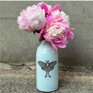 Nautical Vase Ceramic Vase sand dollar Jelly Fish handmade by SKT Ceramics NEW